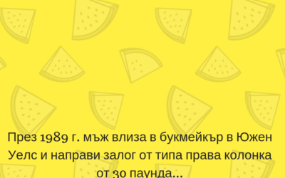 Най-странните залози на света